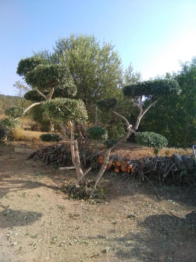 הוילה Botarell Lo Tros מראה חיצוני תמונה